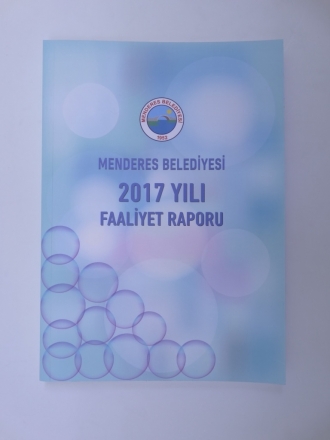 Faliyet Raporu